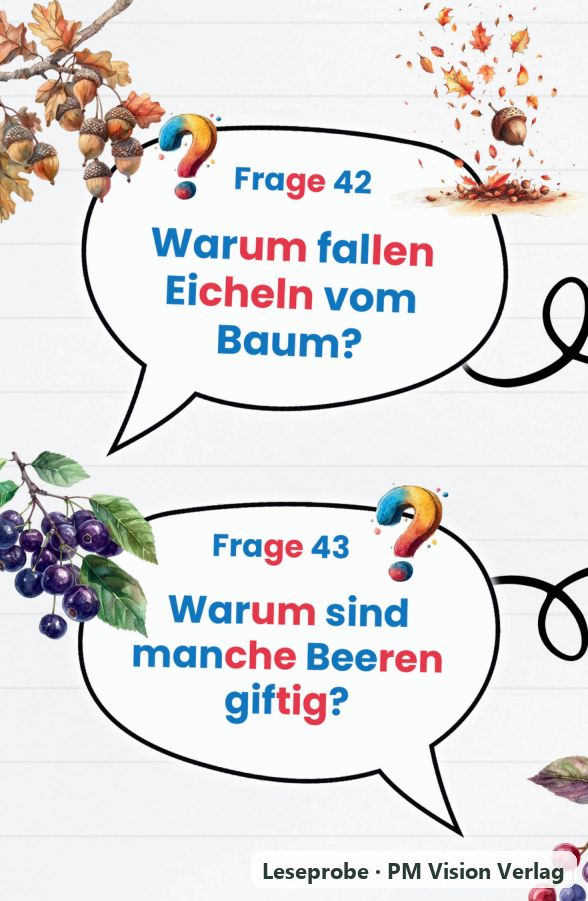 Beispielseite 4 aus Warum kann ein Flugzeug fliegen?